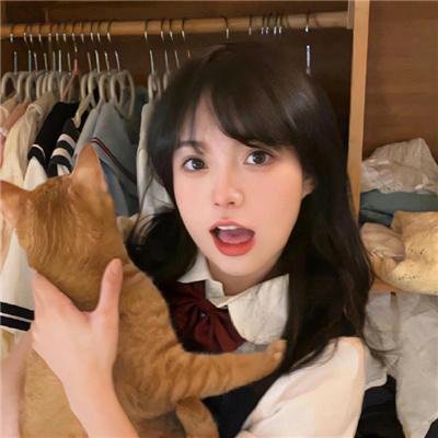 南拳蔡李佛粤语