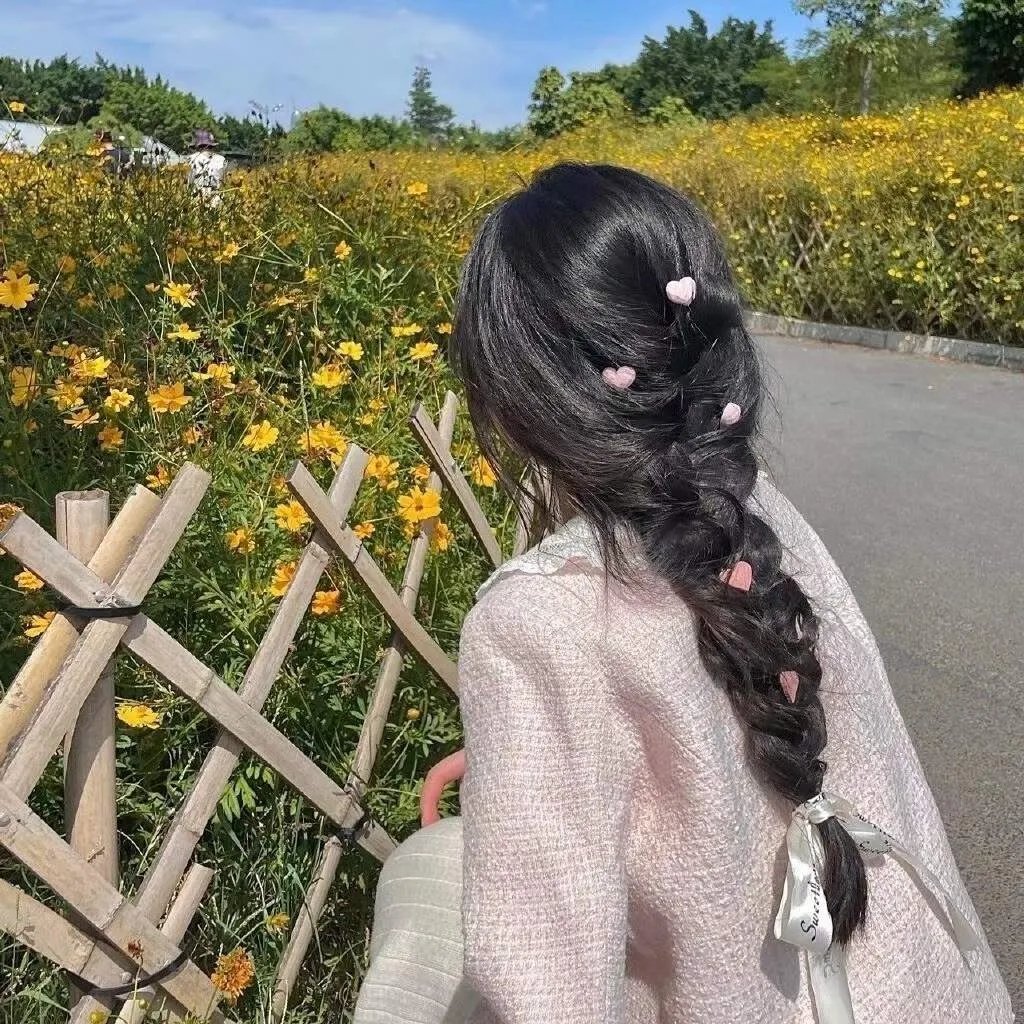 我的中国芯